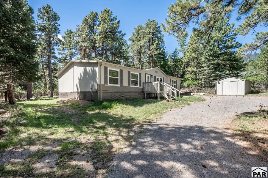 8220 Maple Dr, Rye, CO 81069 - #3
