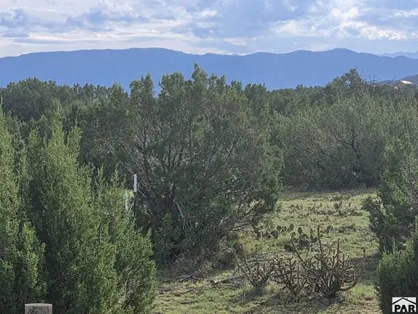 1284 Red Rocks Cir, Penrose, CO 81240
