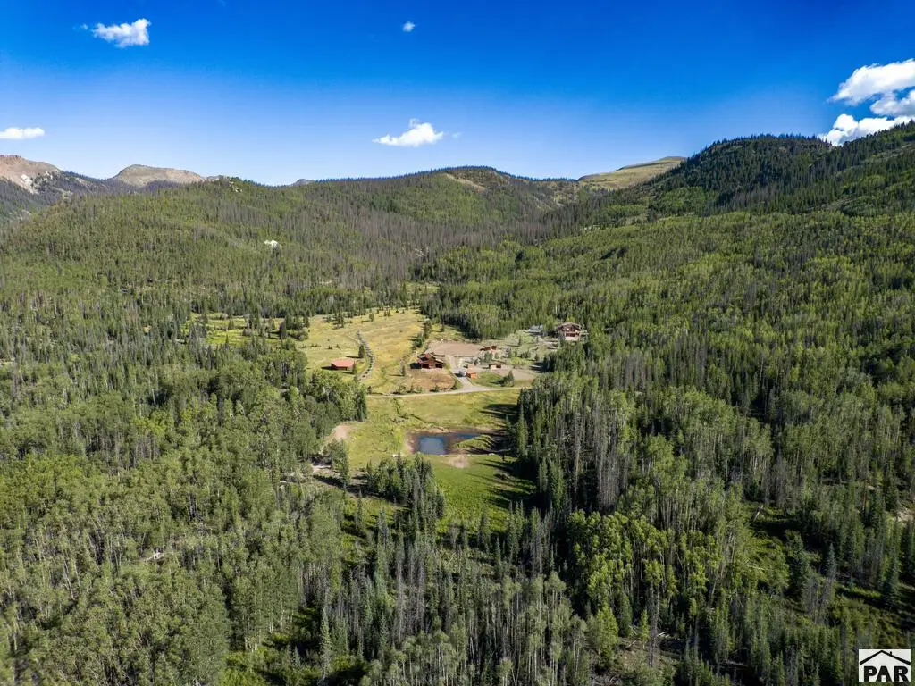 4320 Forest Road 503, Creede, CO 81130 - #1