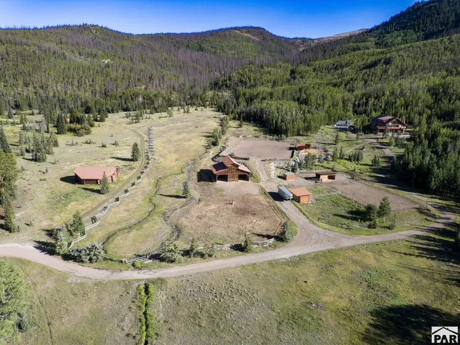 4320 Forest Road 503, Creede, CO 81130 - #2