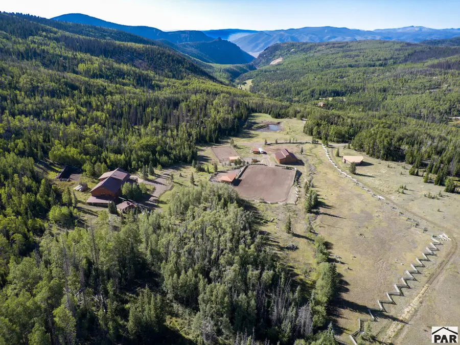 4320 Forest Road 503, Creede, CO 81130 - #3