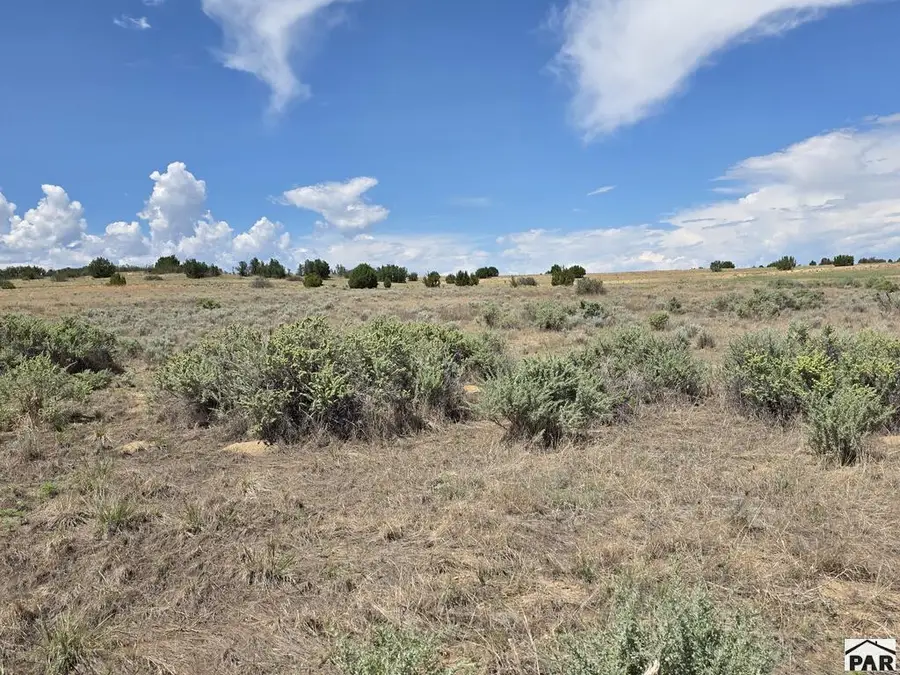 Lot 154 Tarryall Ave, Colorado City, CO 81019 - #3