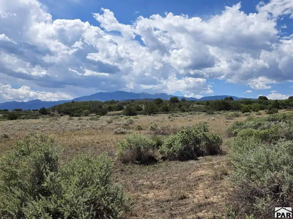 Lot 1189 Sandy Creek Dr, Colorado City, CO 81019 - #1