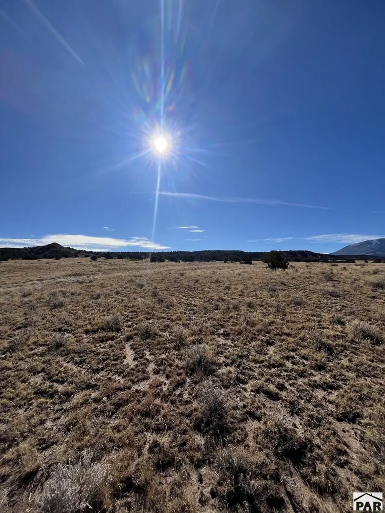 TBD County Rd 541, Gardner, CO 81040 - #2