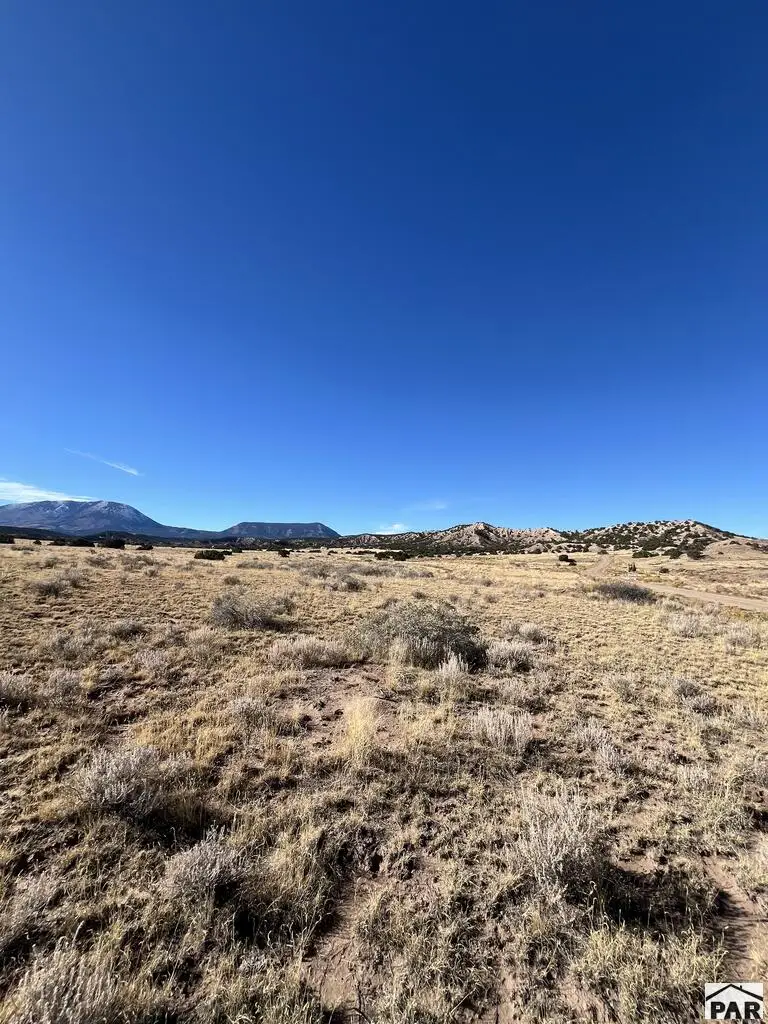 TBD County Rd 541, Gardner, CO 81040 - #3