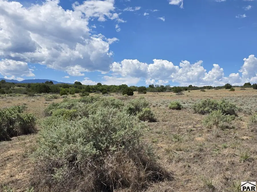 TBD Tarryall Ave, Colorado City, CO 81019 - #2
