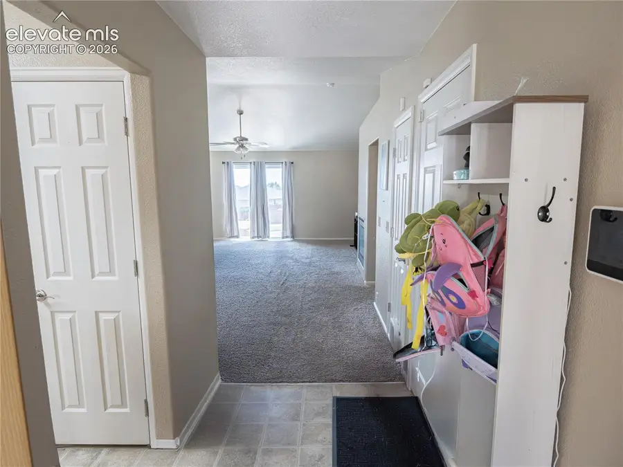 8806 Silver Glen Drive, Fountain, CO 80817 - #3