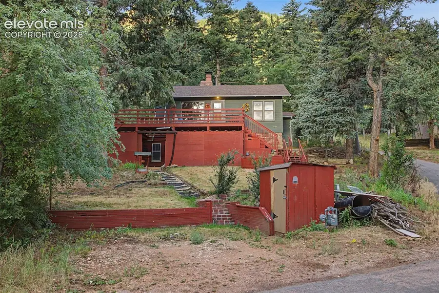 9735 Mountain Road, Cascade, CO 80809 - #2