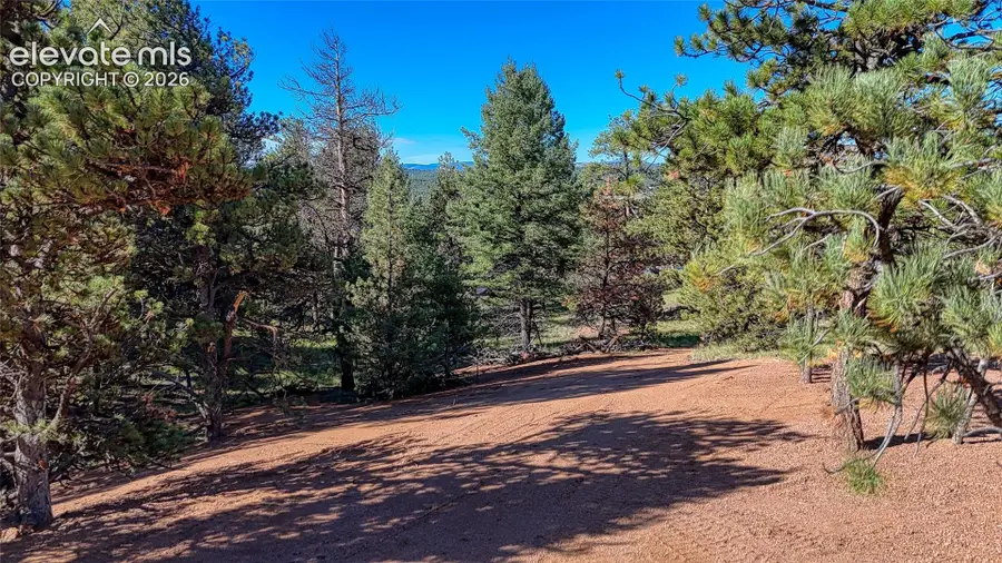 65 Utah Way, Florissant, CO 80816 - #3