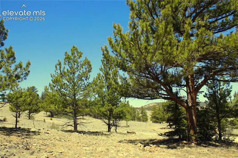 12451 Us-24 Highway, Hartsel, CO 80449 - #3