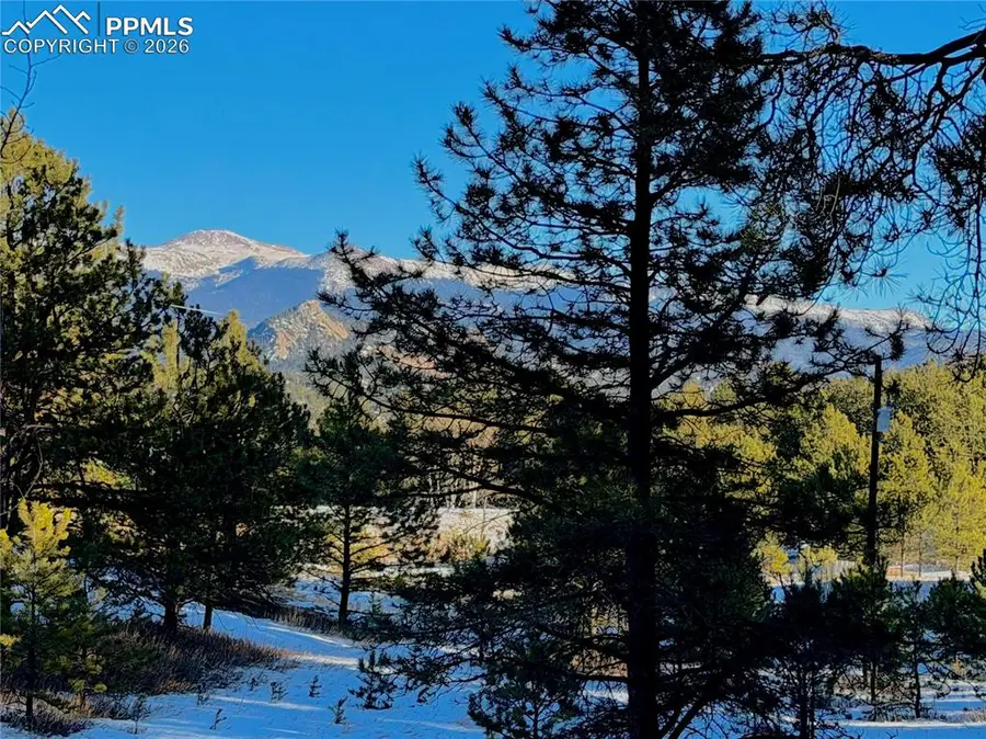 919 Matterhorn Drive, Florissant, CO 80816 - #2