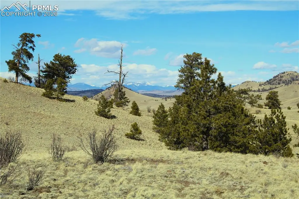 Ahlers Road, Hartsel, CO 80449 - #1