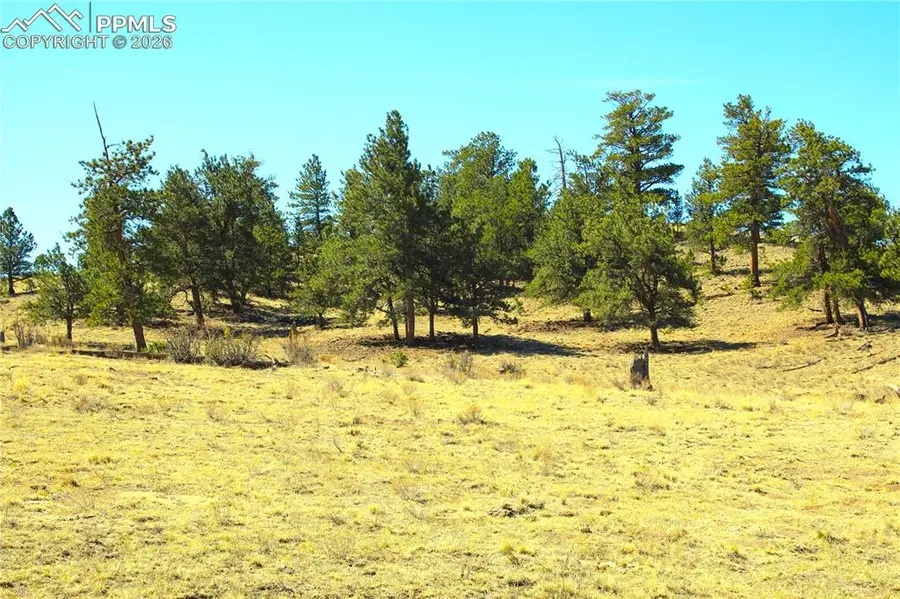 Ahlers Road, Hartsel, CO 80449 - #3