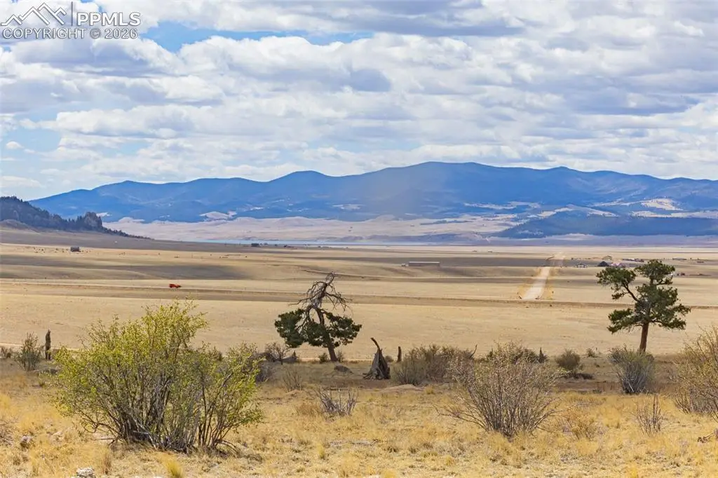 1685 Montezuma Road, Lake George, CO 80827 - #1