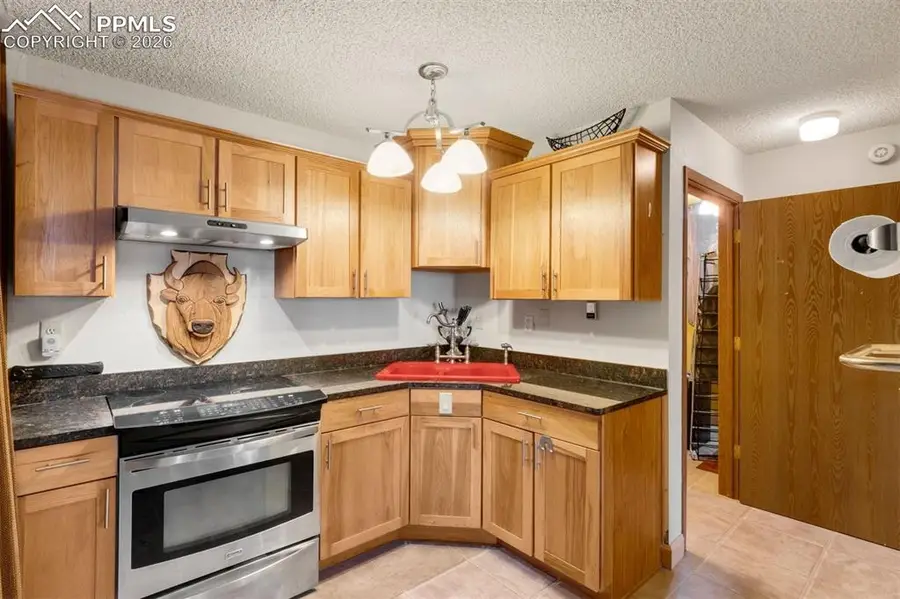 380 Paradise Circle #C1, Woodland Park, CO 80863 - Image #2