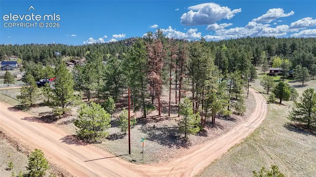 212 Obsidian Drive, Florissant, CO 80816 - #1