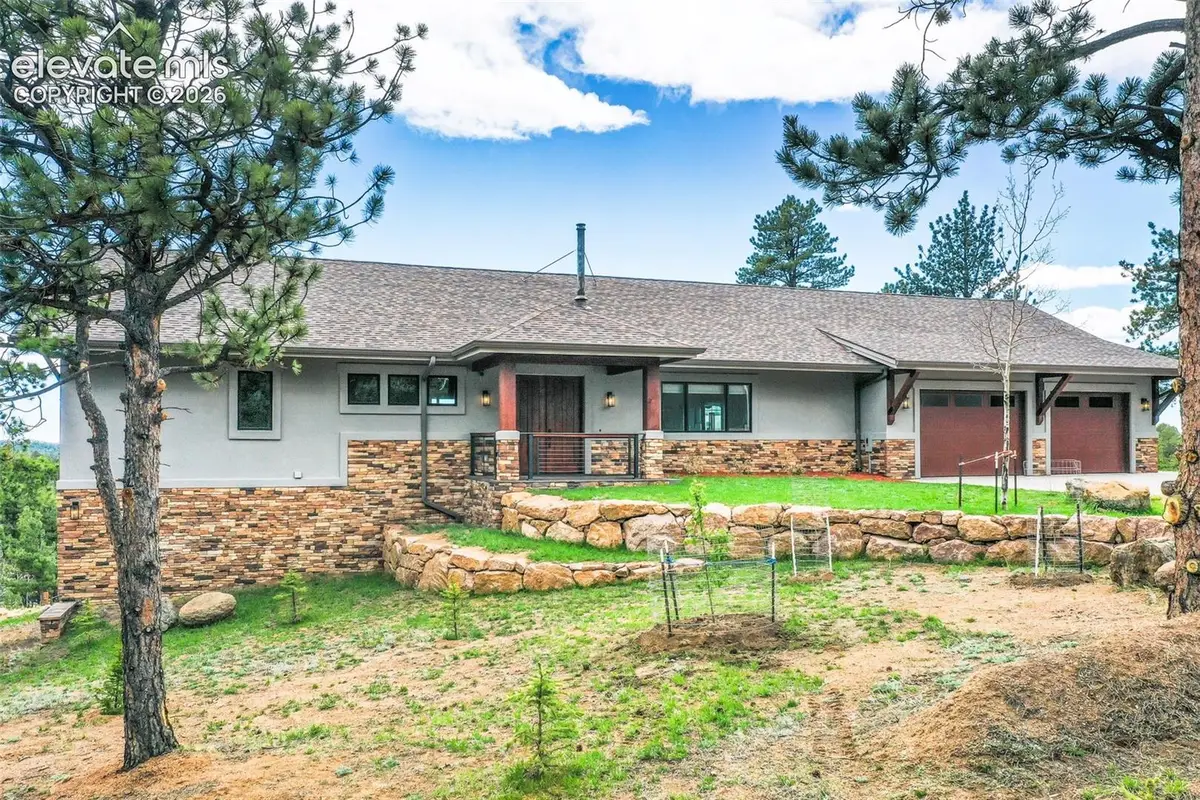 2754 County Road 421, Florissant, CO 80816 - #1