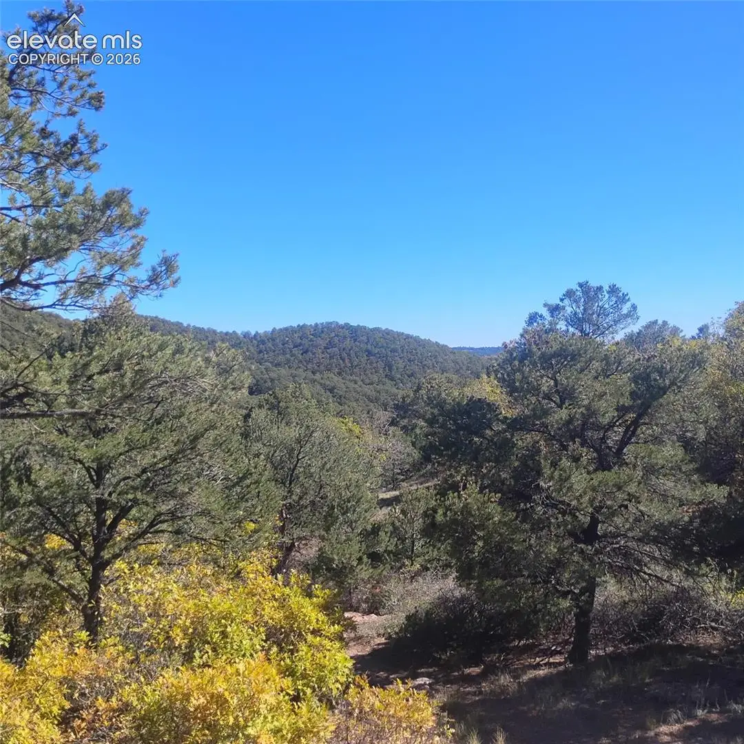 468 Rye Whiskey Trail, Canon City, CO 81212 - #1