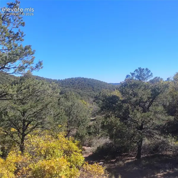 468 Rye Whiskey Trail, Canon City, CO 81212