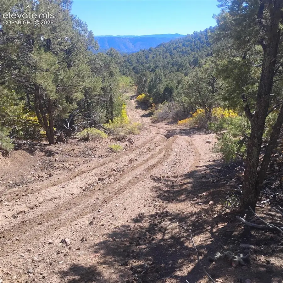 468 Rye Whiskey Trail, Canon City, CO 81212 - #2