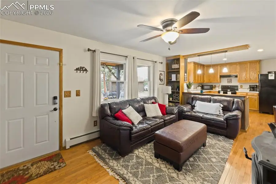 1110 Pikes Peak Drive, Florissant, CO 80816 - #3