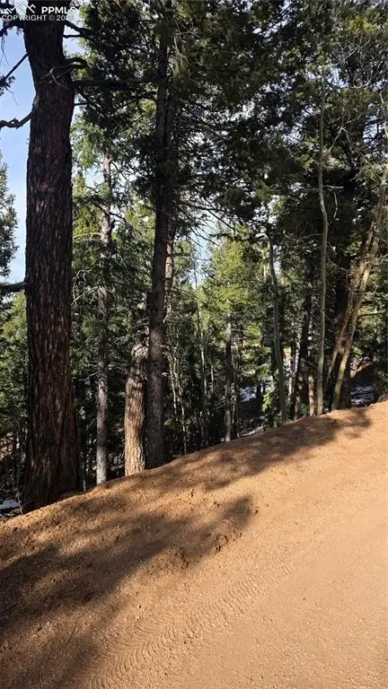 307 Tillicum Trail, Woodland Park, CO 80863 - #2