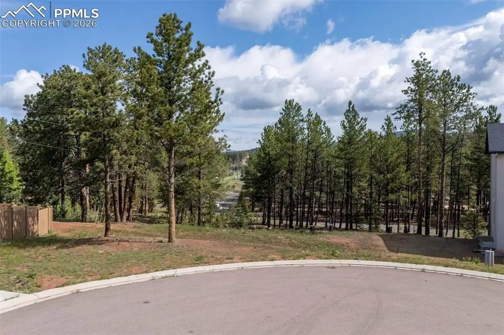 1396 Roberts Ranch Road, Woodland Park, CO 80863 - #1