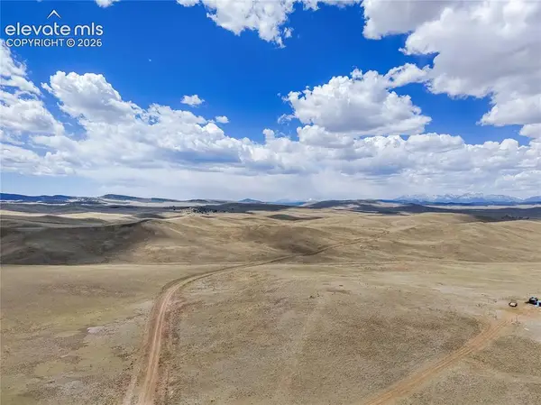 151 Black Beaver Circle, Hartsel, CO 80449