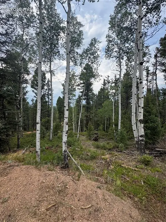 111 Elk Creek Drive, Divide, CO 80814