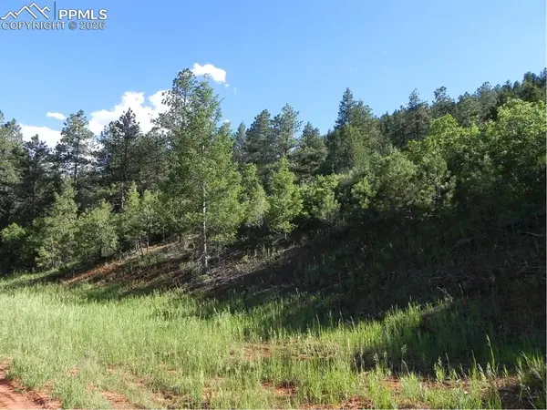 8117 Acoma Drive, Larkspur, CO 80118