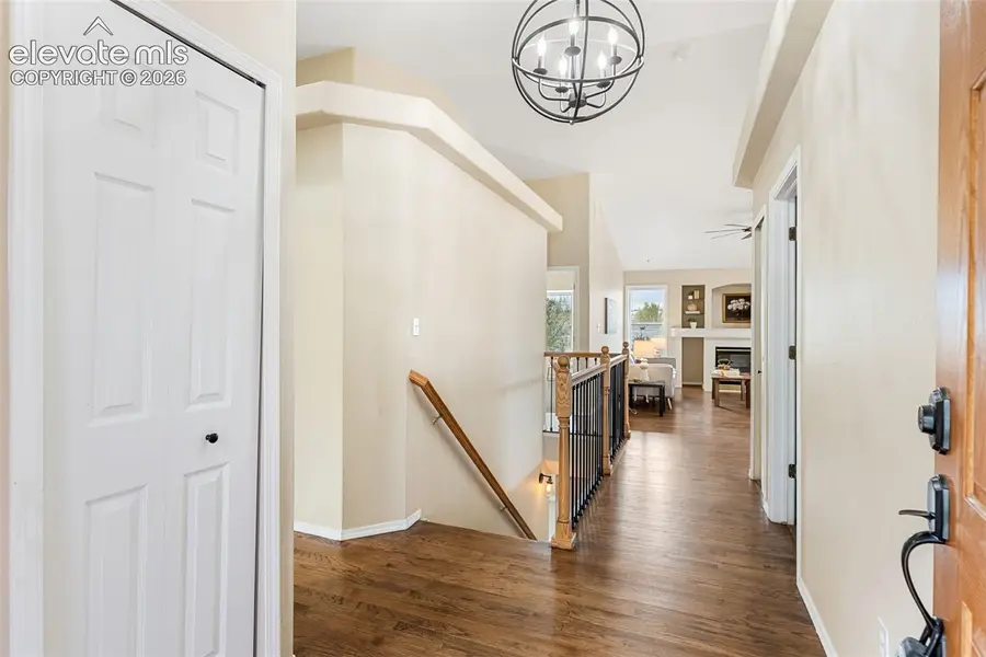 6689 Showhorse Court, Colorado Springs, CO 80922 - #3