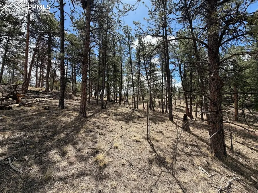 2988 Pikes Peak Drive, Florissant, CO 80816 - #2