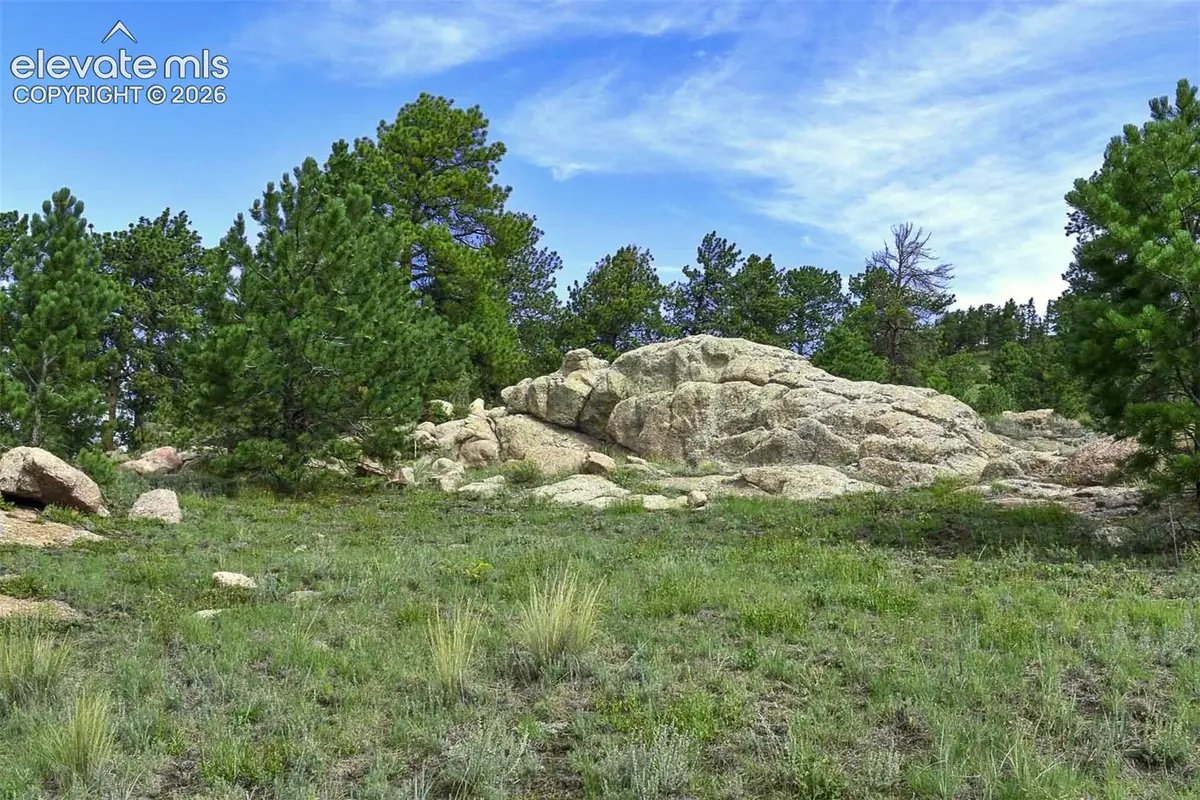 32 Peak Drive, Guffey, CO 80820 - #1
