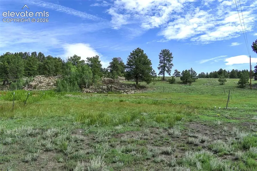 32 Peak Drive, Guffey, CO 80820 - #2