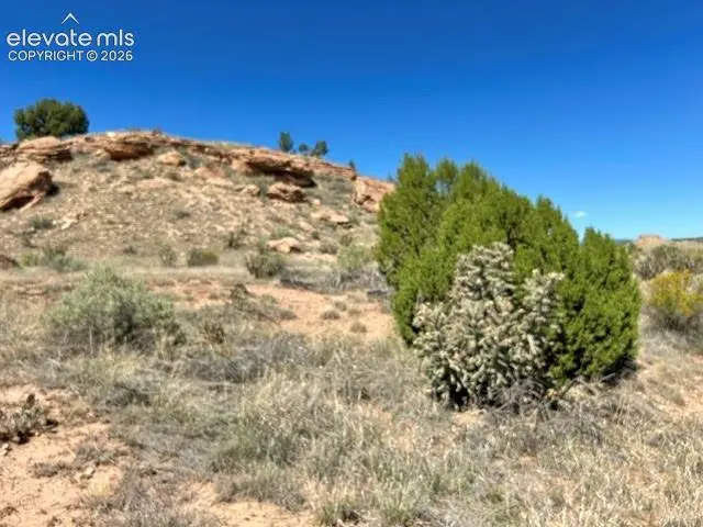 0 Bowie Road, Penrose, CO 81240 - #1