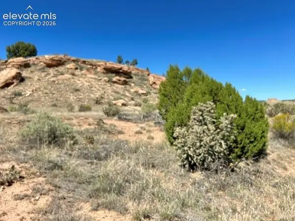 0 Bowie Road, Penrose, CO 81240