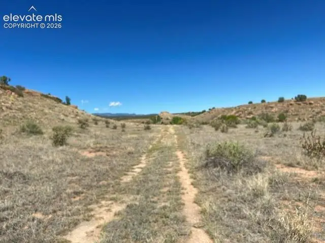 0 Bowie Road, Penrose, CO 81240 - #2