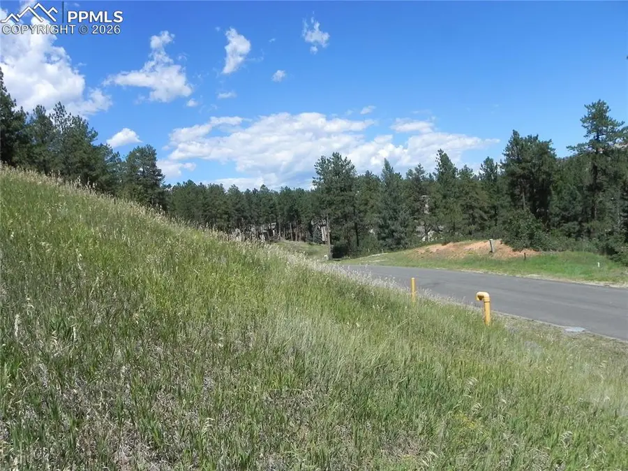 4144 Cheyenne Drive, Larkspur, CO 80118 - #3
