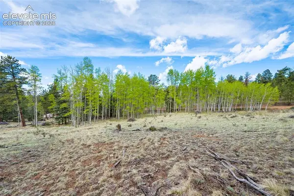 57 Beaver Creek Drive, Lake George, CO 80827
