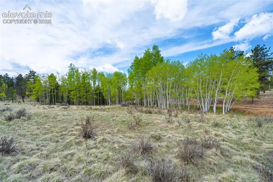57 Beaver Creek Drive, Lake George, CO 80827 - #3