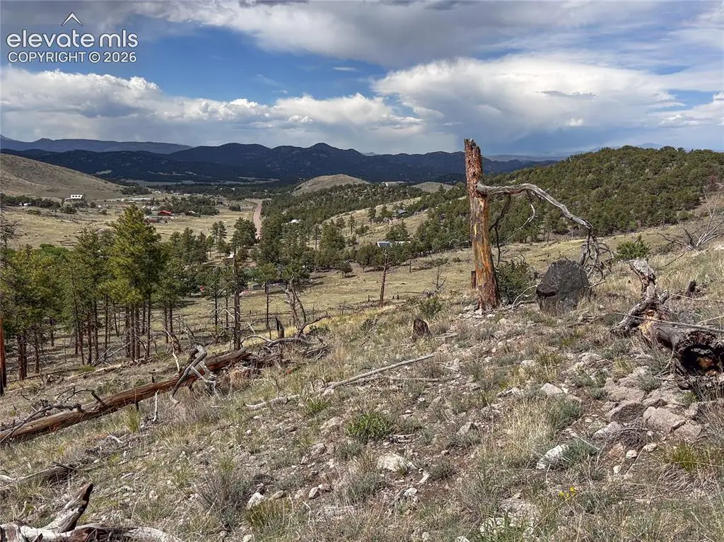 H Path, Cotopaxi, CO 81223 - #1