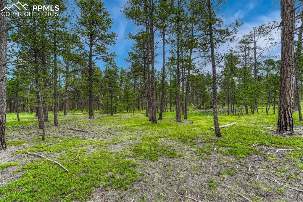 000 Wyandott Drive, Colorado Springs, CO 80908 - #1