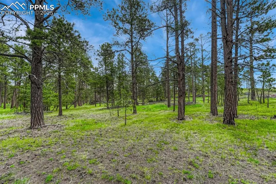 000 Wyandott Drive, Colorado Springs, CO 80908 - #3