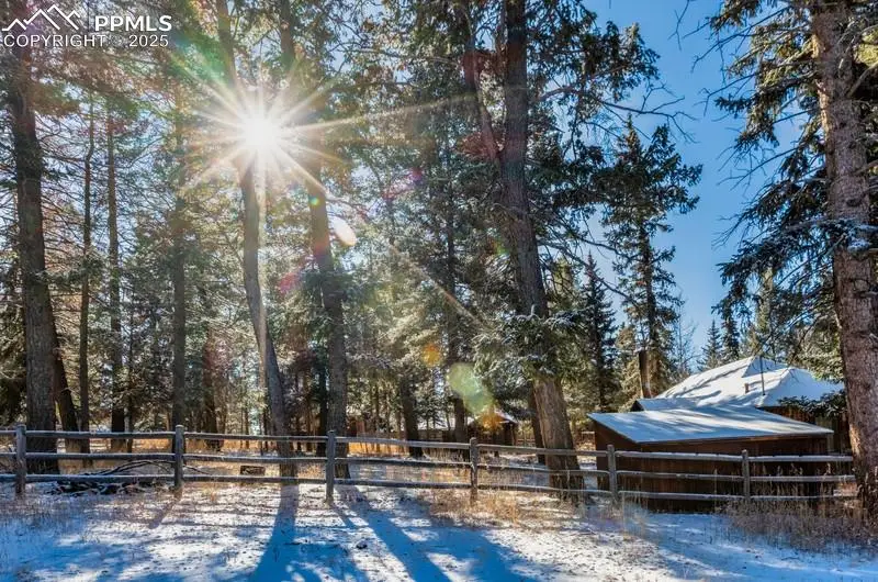 515 N Park Street, Woodland Park, CO 80863 - Image #3