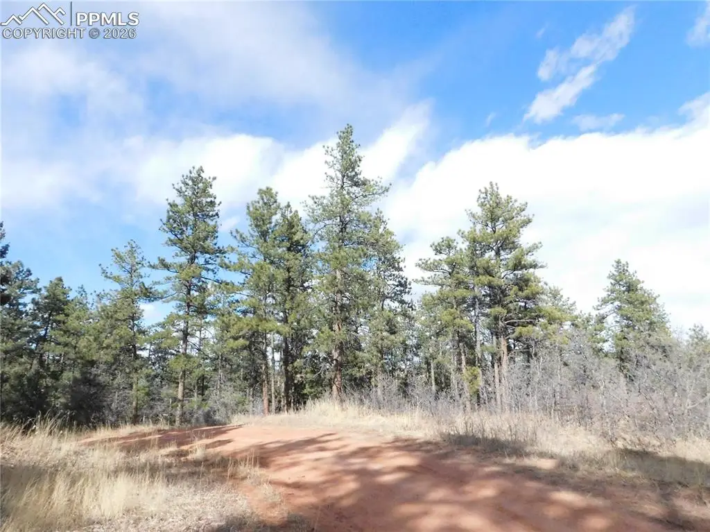 8122 Acoma Drive, Larkspur, CO 80118 - #1