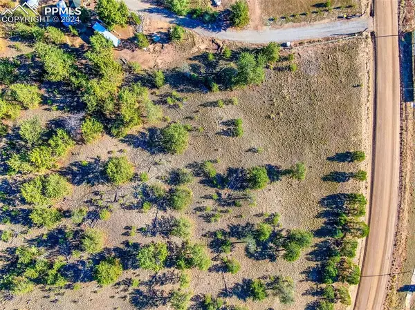 4397 Elkhorn Road, Hartsel, CO 80449