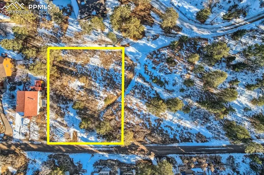 Buena Vista Avenue, Palmer Lake, CO 80133 - #2