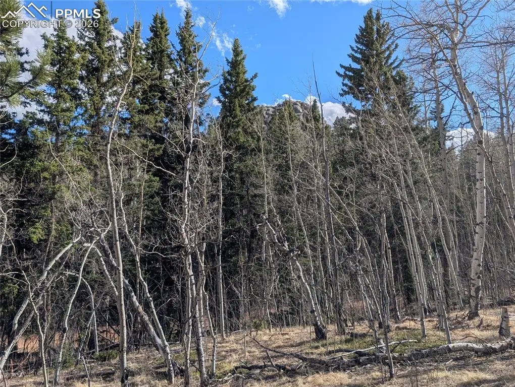 585 Eagle Rock Road, Florissant, CO 80816 - #1