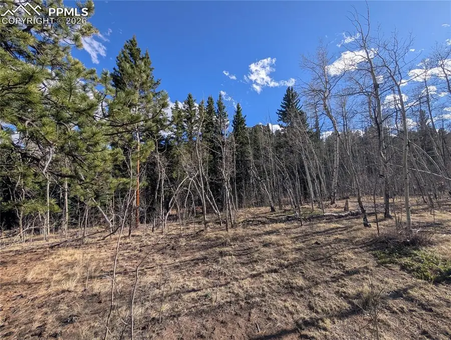 585 Eagle Rock Road, Florissant, CO 80816 - #3