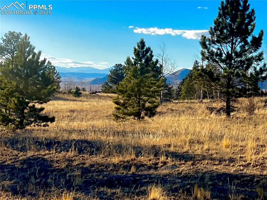 215 Topaz Road, Lake George, CO 80827 - Image #1